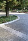 White House TN stamped Concrete